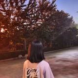 非。野