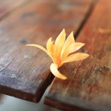 七月泡泡