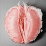 Pppeony