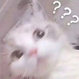 奶茶十级爱好者