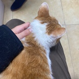 今是我。