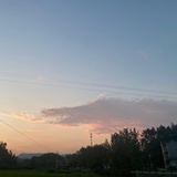 青青子衿