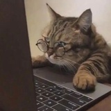 用户占线中