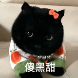 该用户不在...