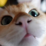 (〟-_・)ﾝ?