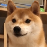 我为本命来护法_