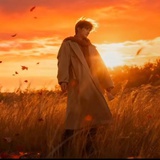 不急不躁的叶子