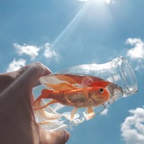 林歌