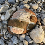 野鸭湖