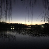 光