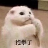 咕咕咕咕🍖