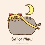 爱做梦的猫小姐