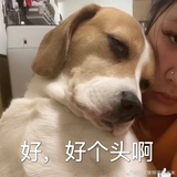 MonstaX卢珉宇