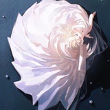 知白