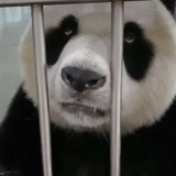 哪里好笑啦