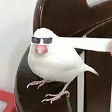 迟勒马
