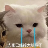 橘子汽水不加糖