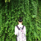 隐隐