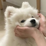 小泡儿呀小炮