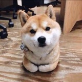 浅蓝