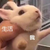 咸鱼