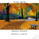 寂静无声