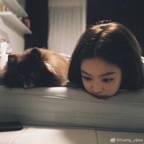 偶遇而来