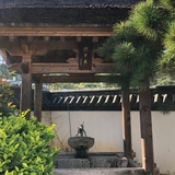 风本