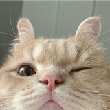 过
