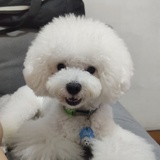 TracyWei