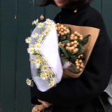 螃蟹与花