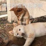 检校刑部尚书