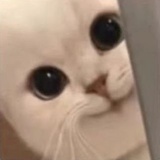 111