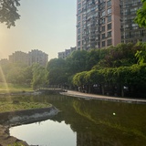 韩冰