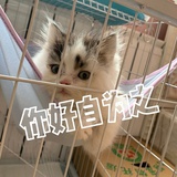 老震惊人了