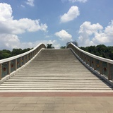 湛