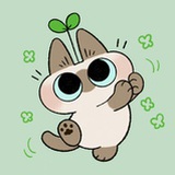 怀瑾