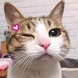 王小胖