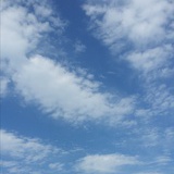 高绮