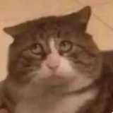 0z0
