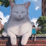 一条会飞的猫