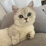 吃饭睡觉写论文