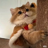 kristina_so