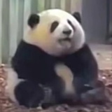 因果不空