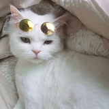 睡不醒