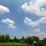 天边一朵云