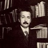 褶子林