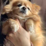 蒋蒋讲道理