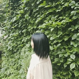 萤光小林