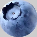 我不吃蓝莓